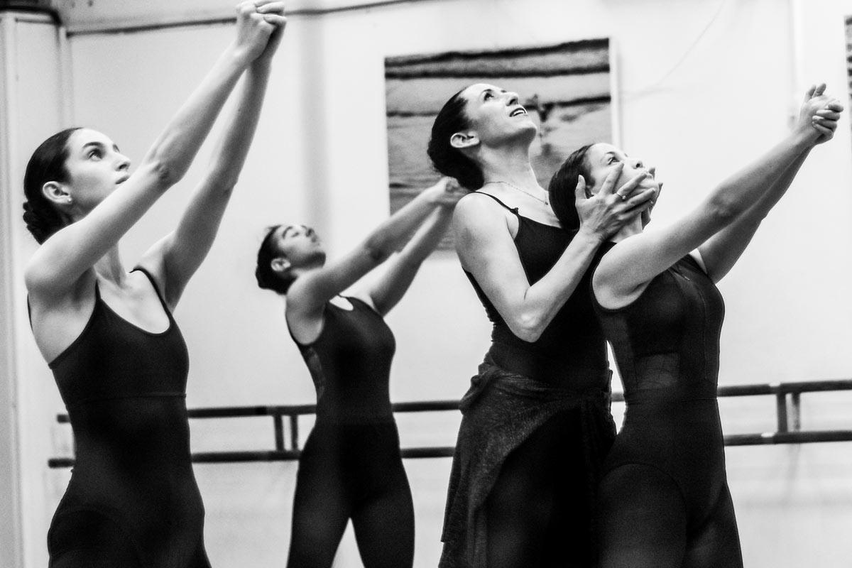 ModernDanceGallery_C